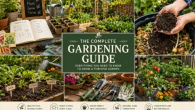 Colorful home garden with raised beds, healthy vegetables, flowering plants, gardening tools, compost, seedlings, and a gardener caring for plants, illustrating a complete gardening guide for beginners.