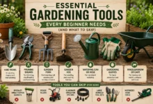 Essential Gardening Tools Every Beginner Needs (And What to Skip) featuring a collection of beginner gardening essentials including a hand trowel, pruning shears, garden fork, hoe, watering can, gloves, and wheelbarrow arranged in a clean garden setting.