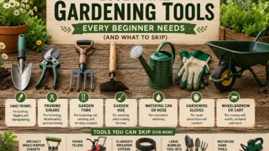 Essential Gardening Tools Every Beginner Needs (And What to Skip) featuring a collection of beginner gardening essentials including a hand trowel, pruning shears, garden fork, hoe, watering can, gloves, and wheelbarrow arranged in a clean garden setting.