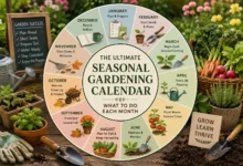 The Ultimate Seasonal Gardening Calendar What to Do Each Month featuring a colorful year-round gardening planner with seasonal plants, gardening tools, vegetables, seedlings, and monthly garden care tasks.